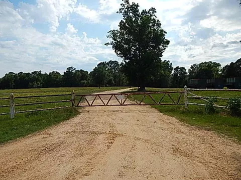 2467 River Rd, Silver Creek, MS 39663 photo 1