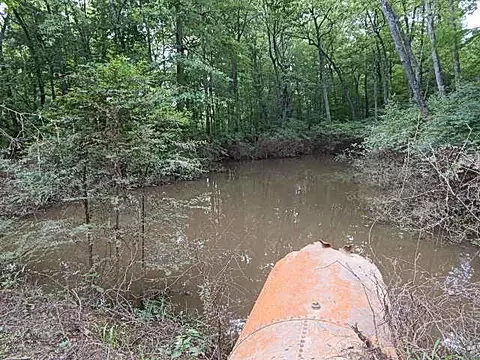2467 River Rd, Silver Creek, MS 39663 photo 21