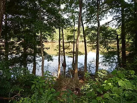 2467 River Rd, Silver Creek, MS 39663 photo 44