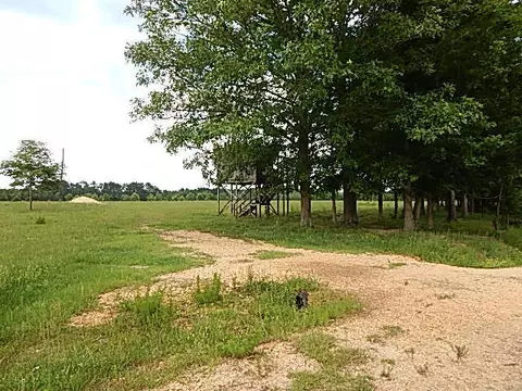 2467 River Rd, Silver Creek, MS 39663 photo 16
