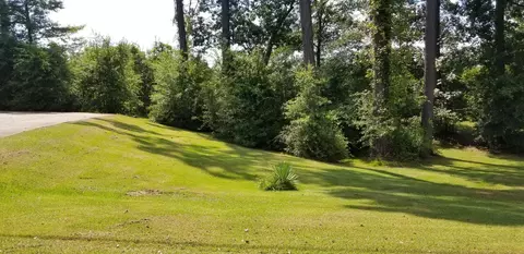 111 Pinecrest St, Collins, MS 39428 photo 22