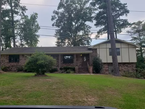 111 Pinecrest St, Collins, MS 39428 photo 1