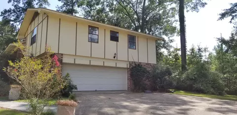 111 Pinecrest St, Collins, MS 39428 photo 20