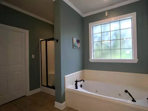 51 Palm Tree Loop, Petal, MS 39465 photo 18