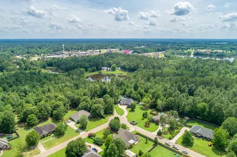 51 Palm Tree Loop, Petal, MS 39465 photo 4