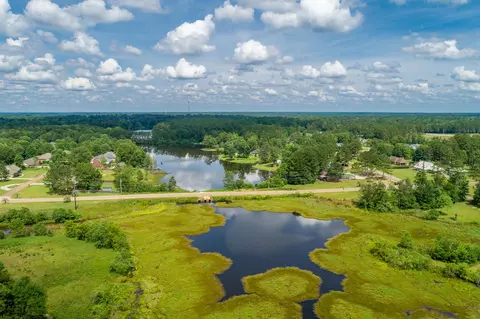 51 Palm Tree Loop, Petal, MS 39465 photo 6