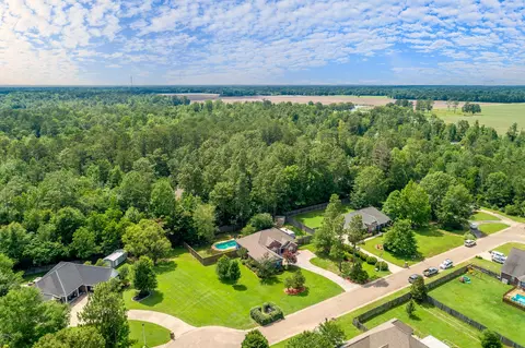 51 Palm Tree Loop, Petal, MS 39465 photo 3