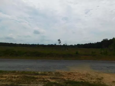 997 Sunset-williamsburg Rd, Collins, MS 39428 photo 3