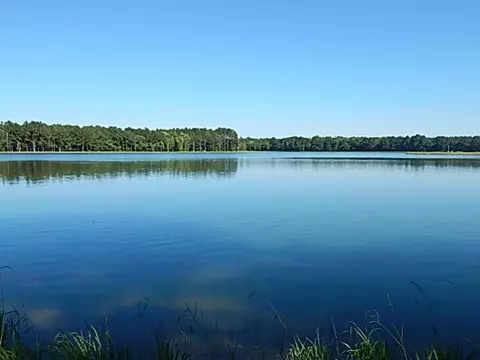00 River Rd, Columbia, MS 39429
