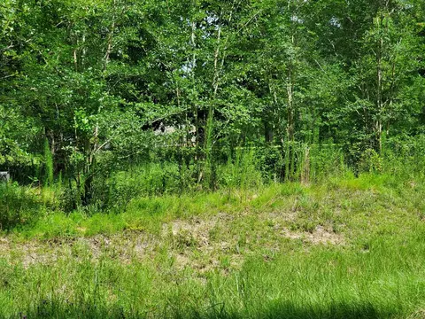 756 Cold Springs Rd, Collins, MS 39428 photo 5
