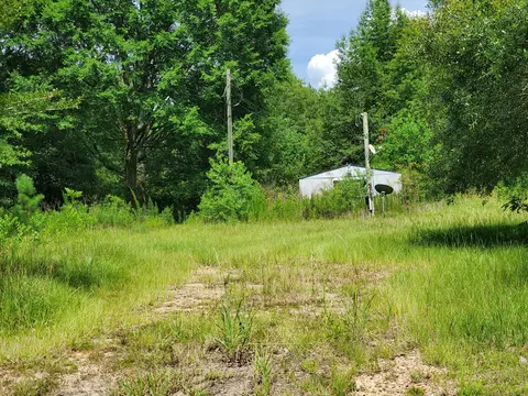 756 Cold Springs Rd, Collins, MS 39428 photo 3