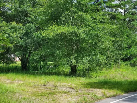 756 Cold Springs Rd, Collins, MS 39428 photo 4