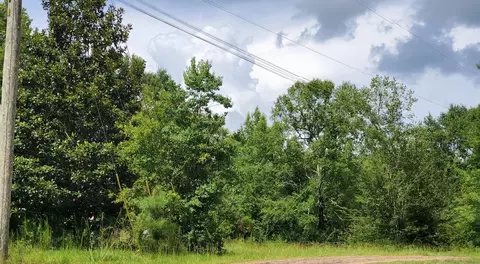 756 Cold Springs Rd, Collins, MS 39428 photo 6