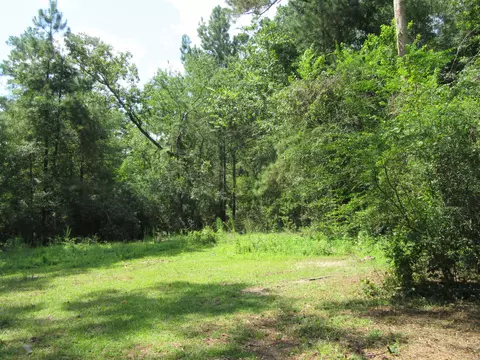 669 Trace Rd, Laurel, MS 39443 photo 33