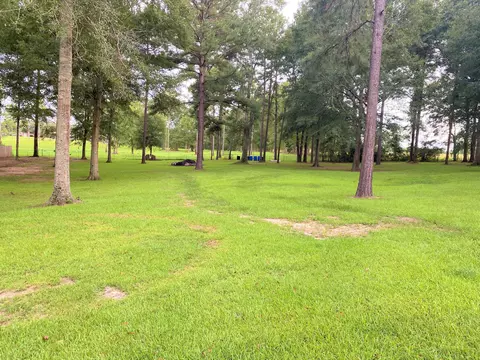 9 Arrowhead, Petal, MS 39465 photo 29
