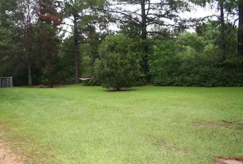 160 Alexander Rd, Purvis, MS 39475 photo 3