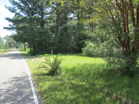 131 Alexander Rd, Purvis, MS 39475 photo 2