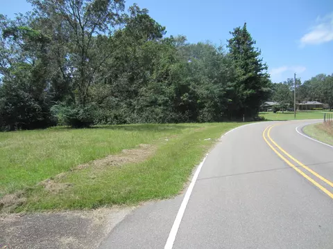 131 Alexander Rd, Purvis, MS 39475 photo 3
