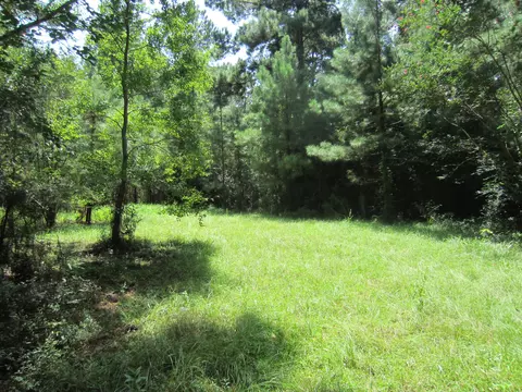 131 Alexander Rd, Purvis, MS 39475 photo 1