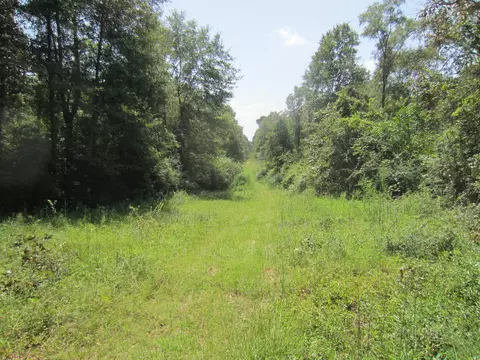 131 Alexander Rd, Purvis, MS 39475 photo 6
