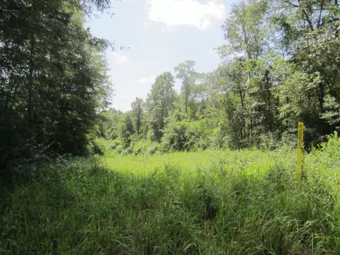 131 Alexander Rd, Purvis, MS 39475 photo 5