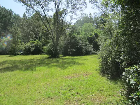 131 Alexander Rd, Purvis, MS 39475 photo 7