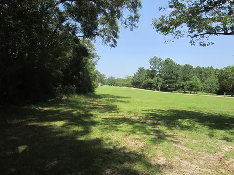 131 Alexander Rd, Purvis, MS 39475 photo 13