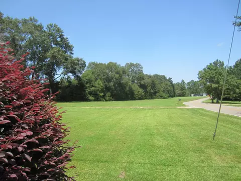131 Alexander Rd, Purvis, MS 39475 photo 12