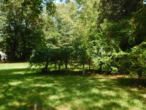 311 E 8th Ave, Petal, MS 39465 photo 13