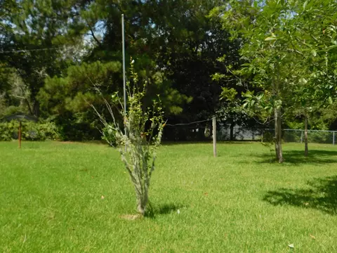 311 E 8th Ave, Petal, MS 39465 photo 11