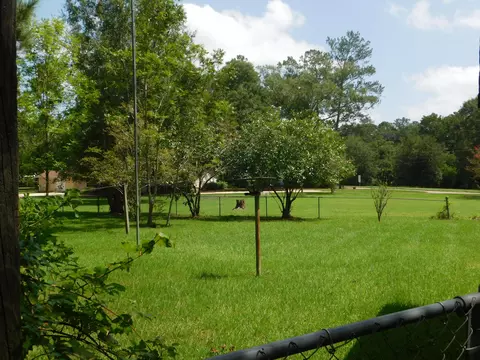 311 E 8th Ave, Petal, MS 39465 photo 2
