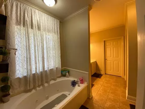 7 Palm Tree Loop, Petal, MS 39465 photo 37