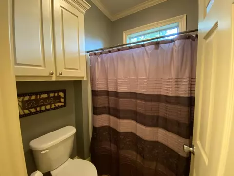 7 Palm Tree Loop, Petal, MS 39465 photo 30