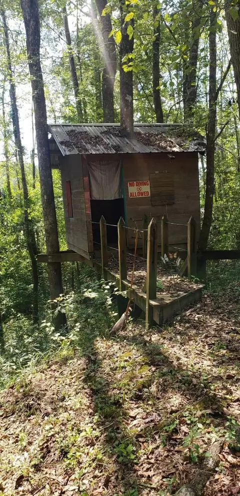 101 River Loop, Beaumont, MS 39423 photo 4