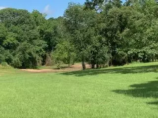 1245 Simpson Hwy 149, Mendenhall, MS 39114 photo 51