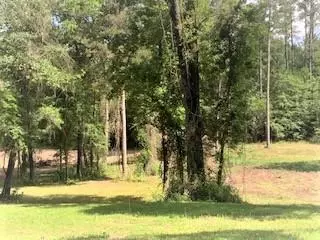 1245 Simpson Hwy 149, Mendenhall, MS 39114 photo 50