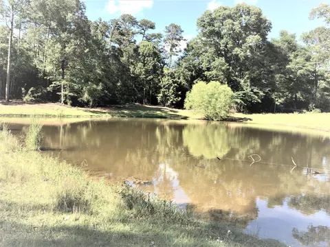 1245 Simpson Hwy 149, Mendenhall, MS 39114 photo 52