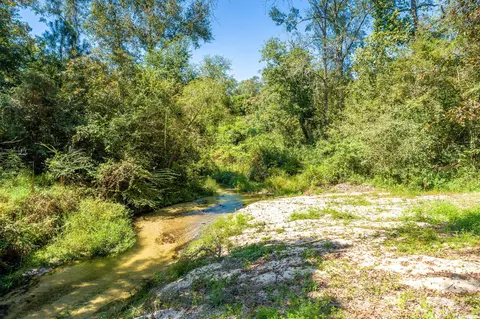 1385 Hwy 35 S, Sandy Hook, MS 39478 photo 50