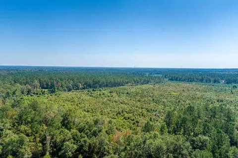 1385 Hwy 35 S, Sandy Hook, MS 39478 photo 47