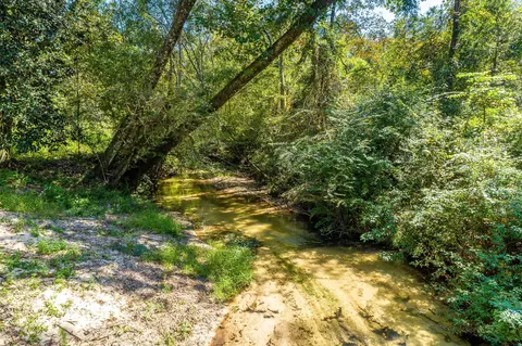 1385 Hwy 35 S, Sandy Hook, MS 39478 photo 48