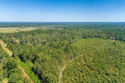 1385 Hwy 35 S, Sandy Hook, MS 39478 photo 40