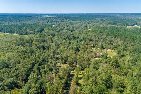 1385 Hwy 35 S, Sandy Hook, MS 39478 photo 39