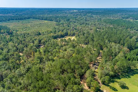 1385 Hwy 35 S, Sandy Hook, MS 39478 photo 42