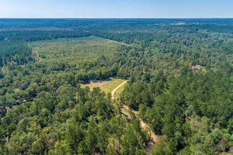 1385 Hwy 35 S, Sandy Hook, MS 39478 photo 41