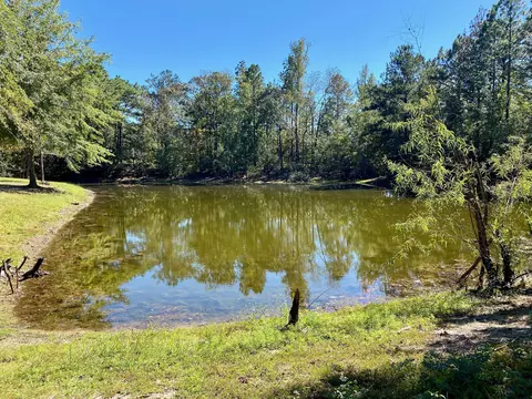 20 Ray Simmons Rd, Purvis, MS 39475 photo 3