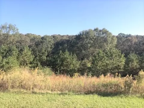 627 New Hope Rd, Mount Olive, MS 39119 photo 34