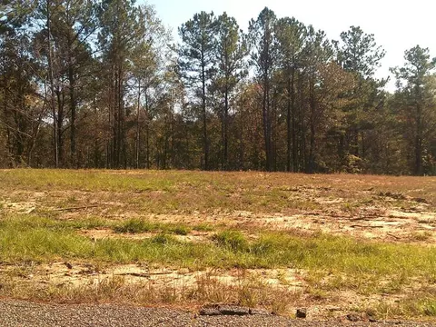 17 Cascade Cv, Petal, MS 39465 photo 8