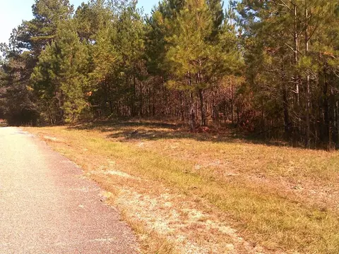 17 Cascade Cv, Petal, MS 39465 photo 6