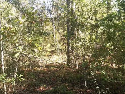 17 Cascade Cv, Petal, MS 39465 photo 5