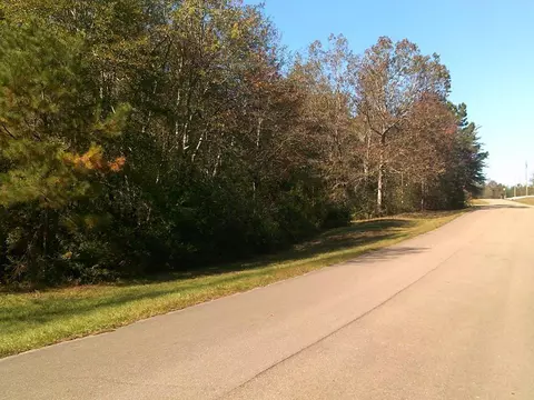 17 Cascade Cv, Petal, MS 39465 photo 1